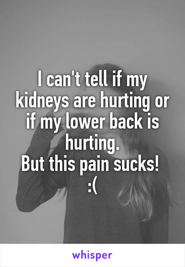 I can't tell if my kidneys are hurting or if my lower back is hurting.
But this pain sucks! 
:(