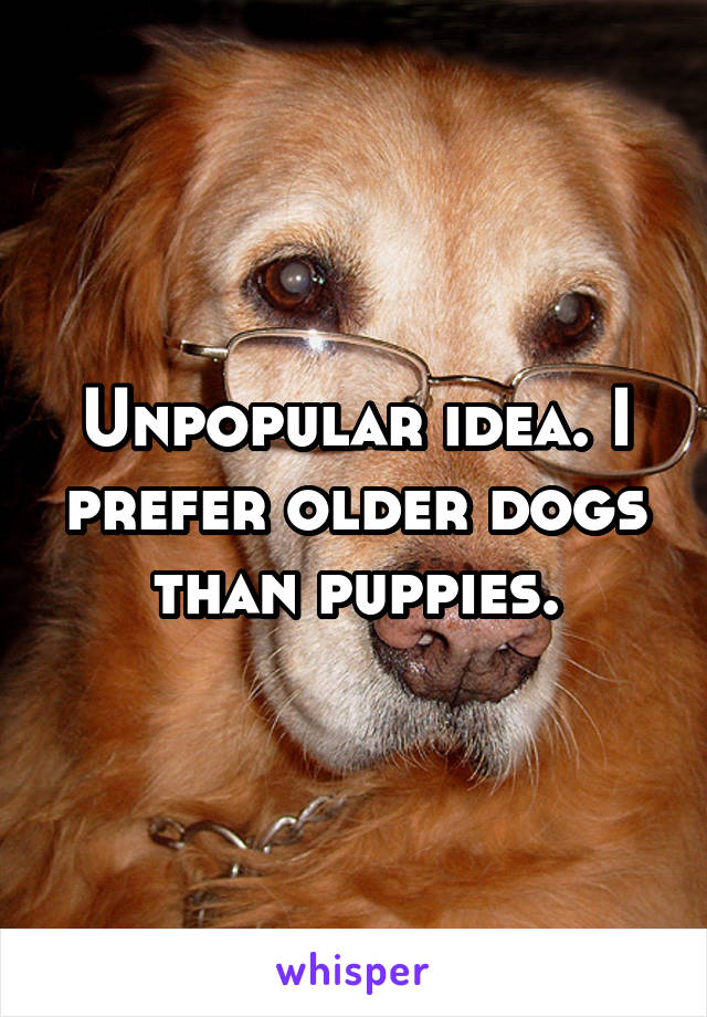 Unpopular idea. I prefer older dogs than puppies.