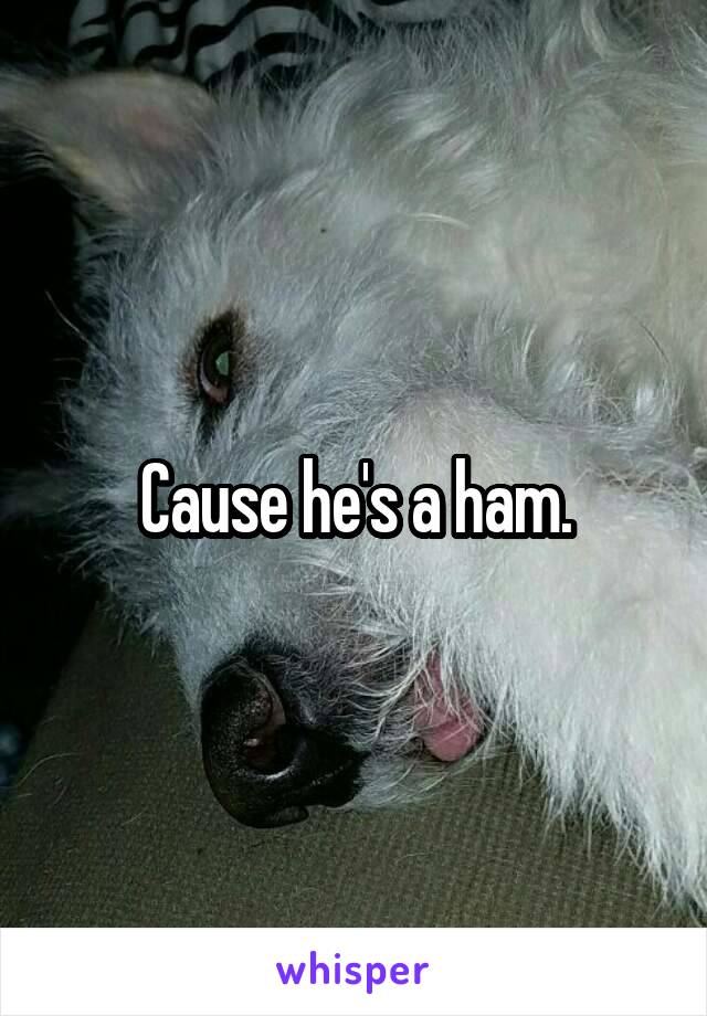 Cause he's a ham.