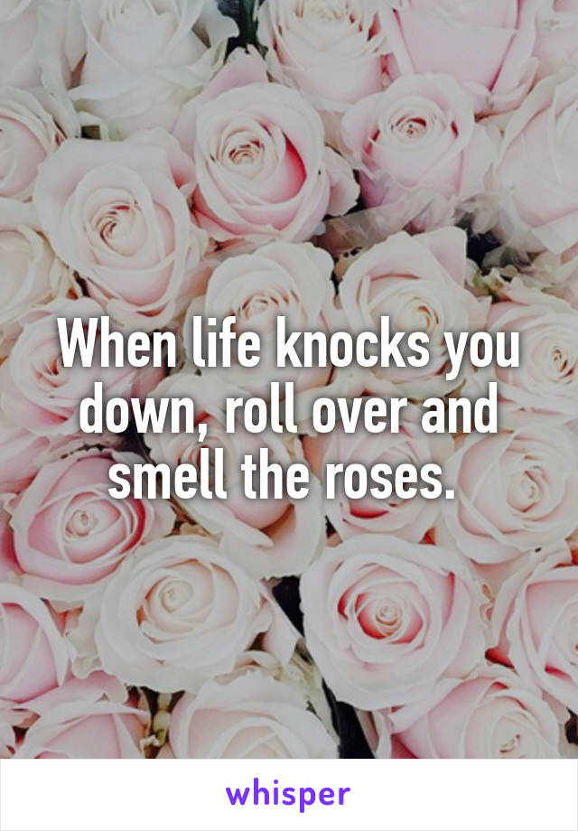When life knocks you down, roll over and smell the roses. 