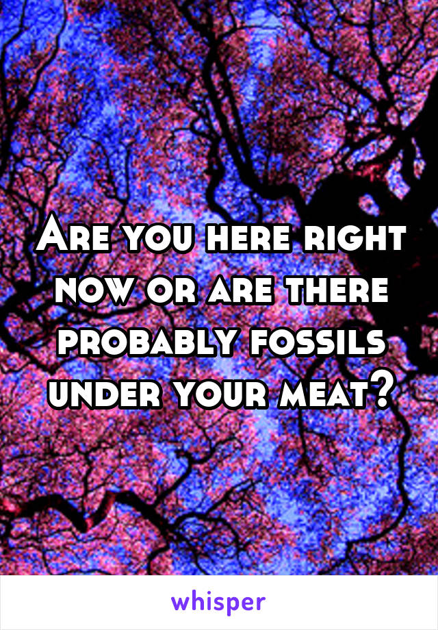Are you here right now or are there probably fossils under your meat?