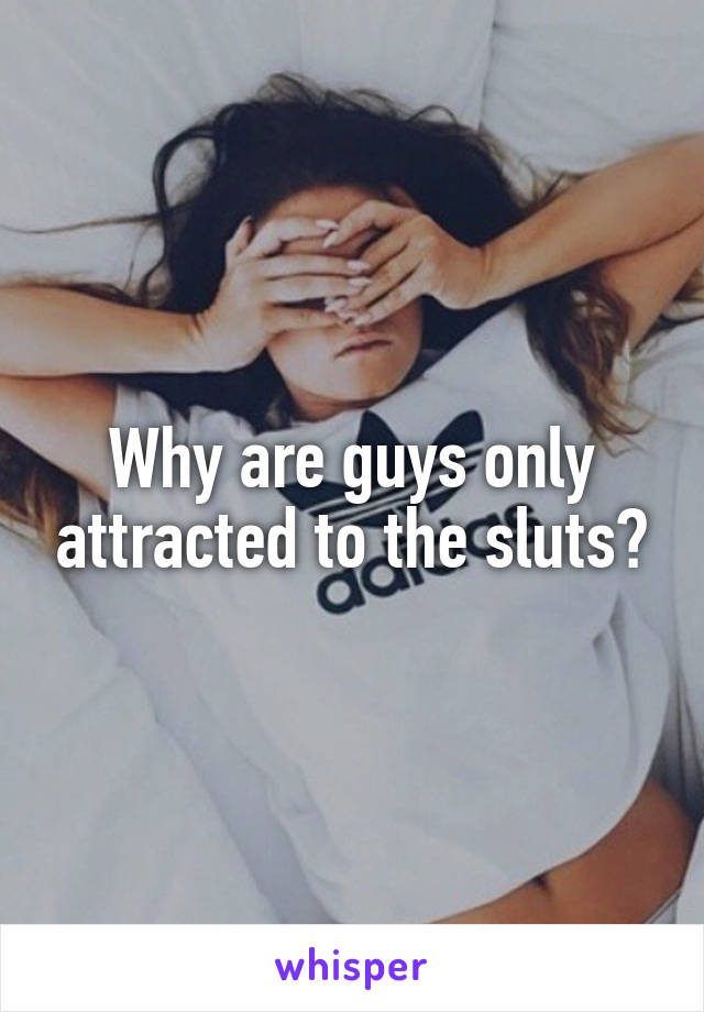 Why are guys only attracted to the sluts?