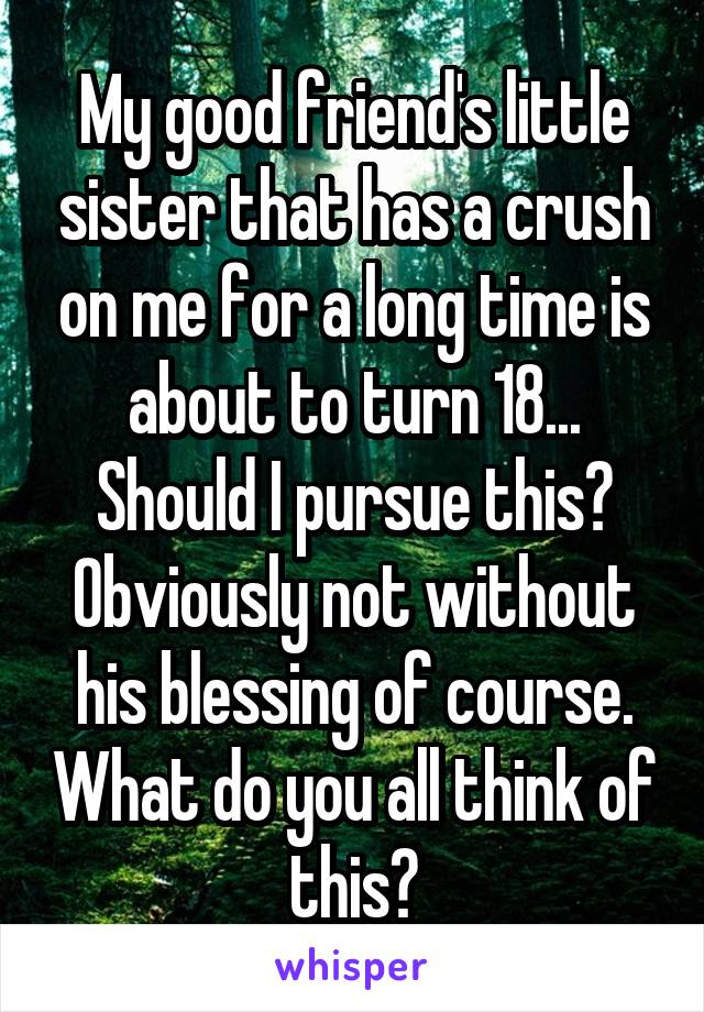 My good friend's little sister that has a crush on me for a long time is about to turn 18... Should I pursue this? Obviously not without his blessing of course. What do you all think of this?