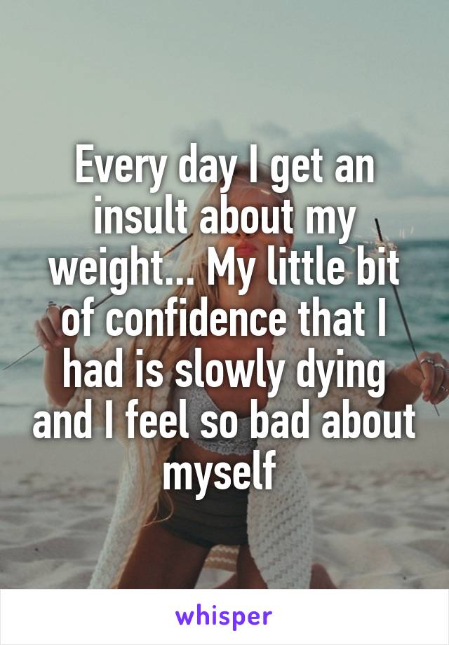 Every day I get an insult about my weight... My little bit of confidence that I had is slowly dying and I feel so bad about myself 