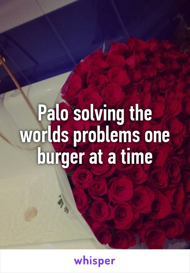 Palo solving the worlds problems one burger at a time