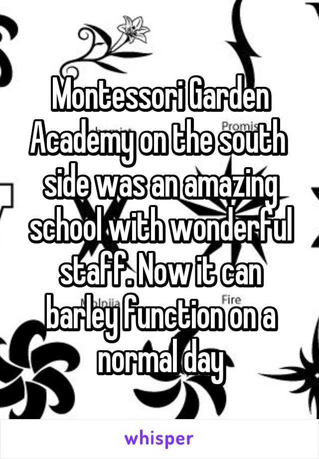 Montessori Garden Academy on the south  side was an amazing school with wonderful staff. Now it can barley function on a normal day