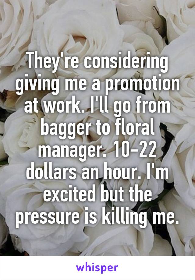 They're considering giving me a promotion at work. I'll go from bagger to floral manager. 10-22 dollars an hour. I'm excited but the pressure is killing me.