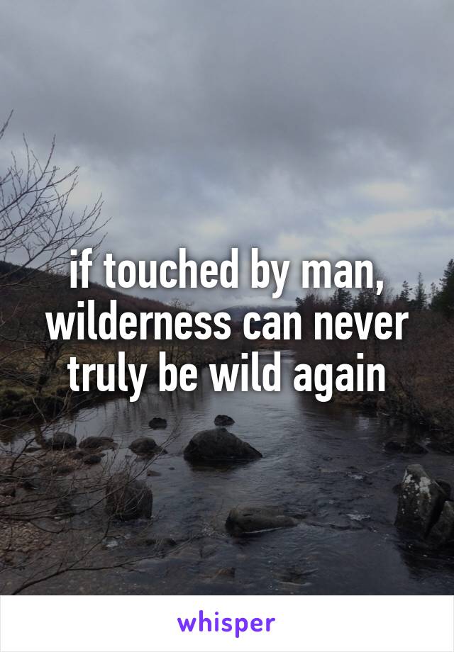 if touched by man, wilderness can never truly be wild again