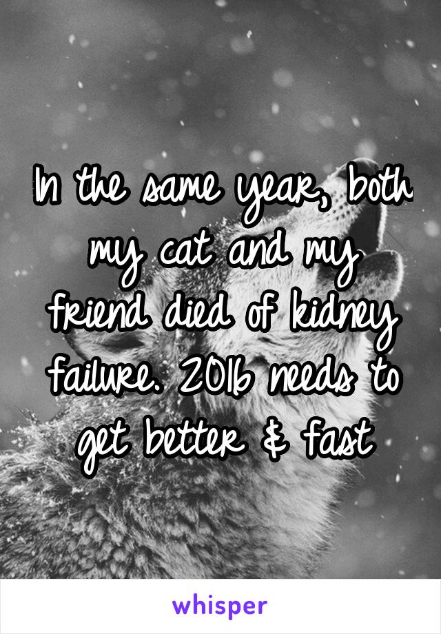 In the same year, both my cat and my friend died of kidney failure. 2016 needs to get better & fast
