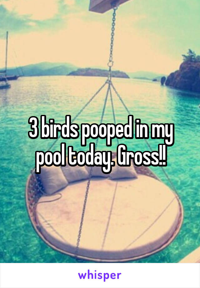 3 birds pooped in my pool today. Gross!!