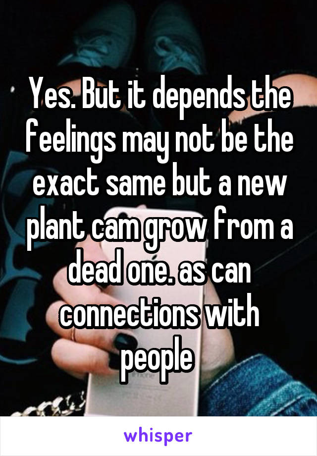 Yes. But it depends the feelings may not be the exact same but a new plant cam grow from a dead one. as can connections with people 