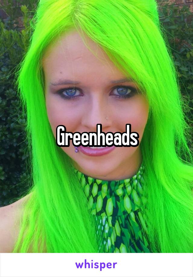 Greenheads