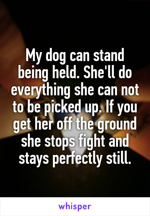 My dog can stand being held. She'll do everything she can not to be picked up. If you get her off the ground she stops fight and stays perfectly still.