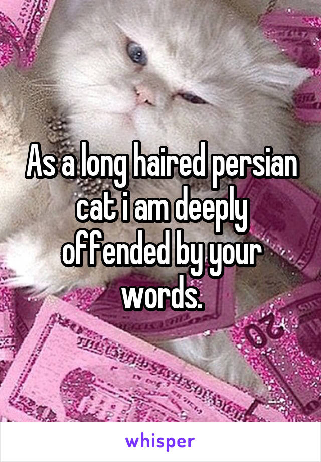 As a long haired persian cat i am deeply offended by your words.