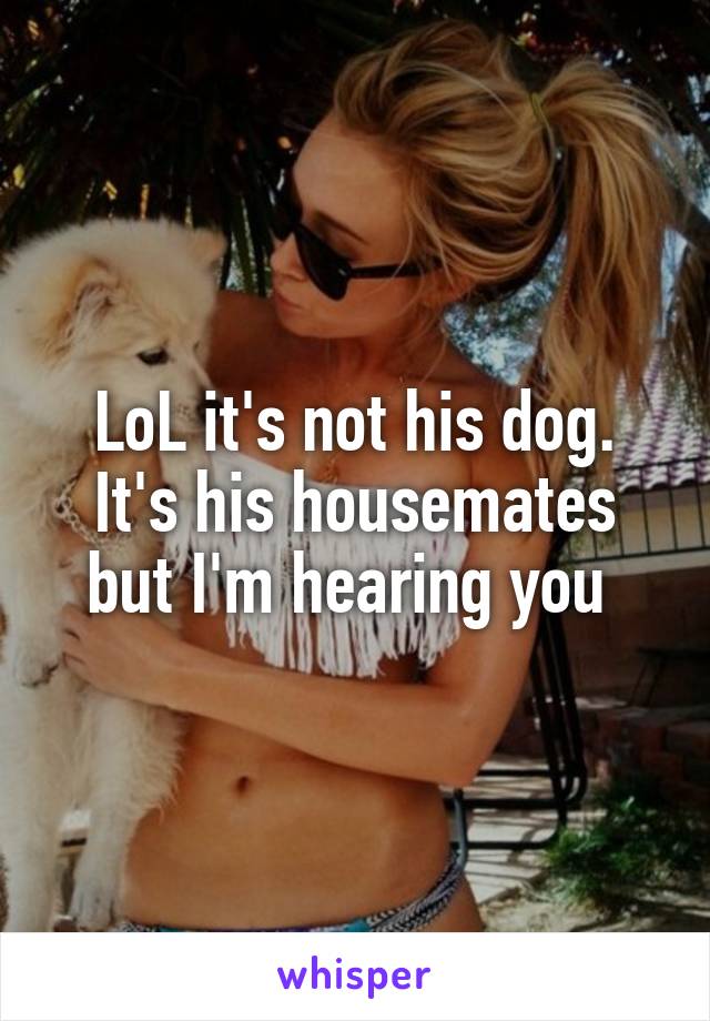 LoL it's not his dog. It's his housemates but I'm hearing you 