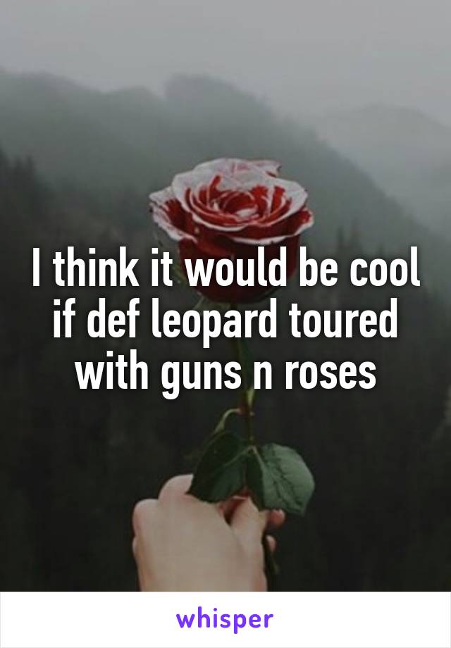 I think it would be cool if def leopard toured with guns n roses