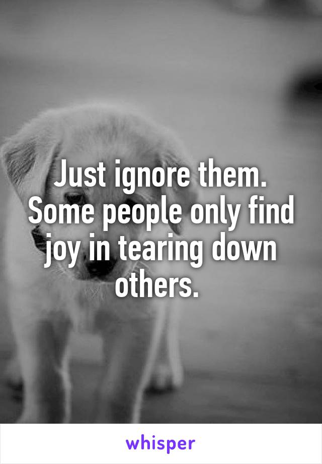 Just ignore them. Some people only find joy in tearing down others. 