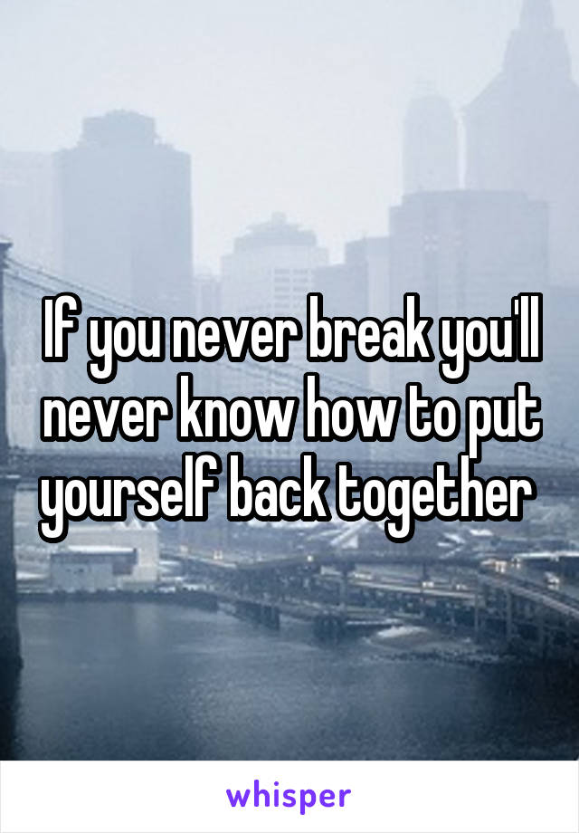 If you never break you'll never know how to put yourself back together 