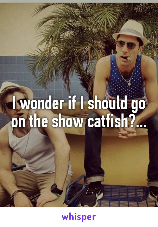 I wonder if I should go on the show catfish?...