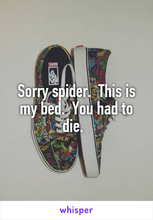 Sorry spider.  This is my bed.  You had to die.  