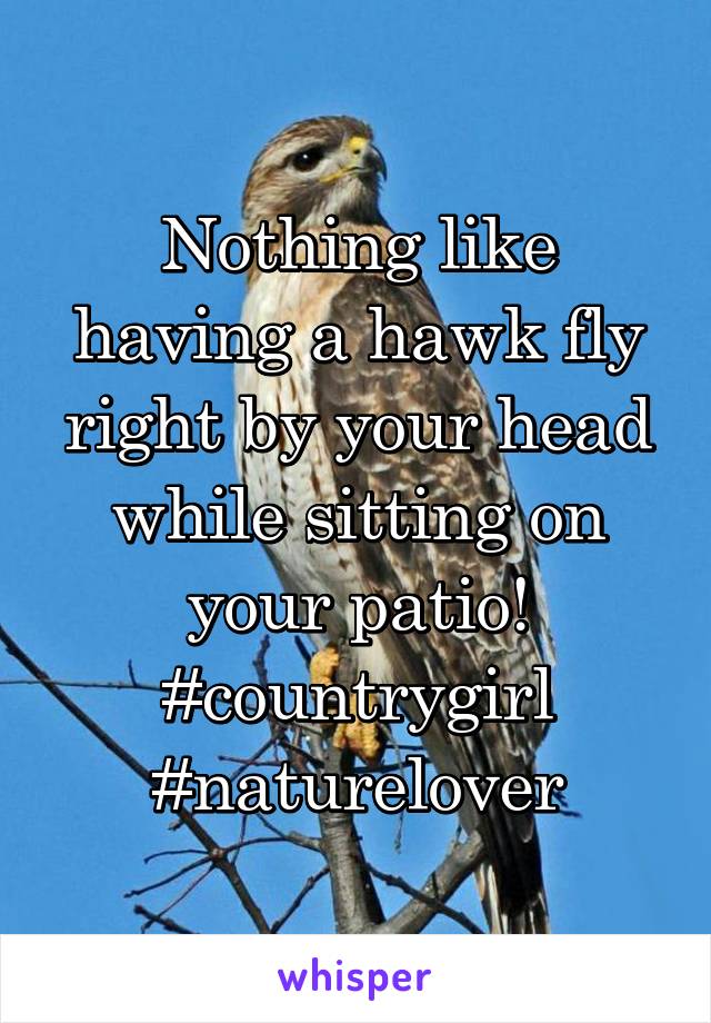 Nothing like having a hawk fly right by your head while sitting on your patio!
#countrygirl
#naturelover