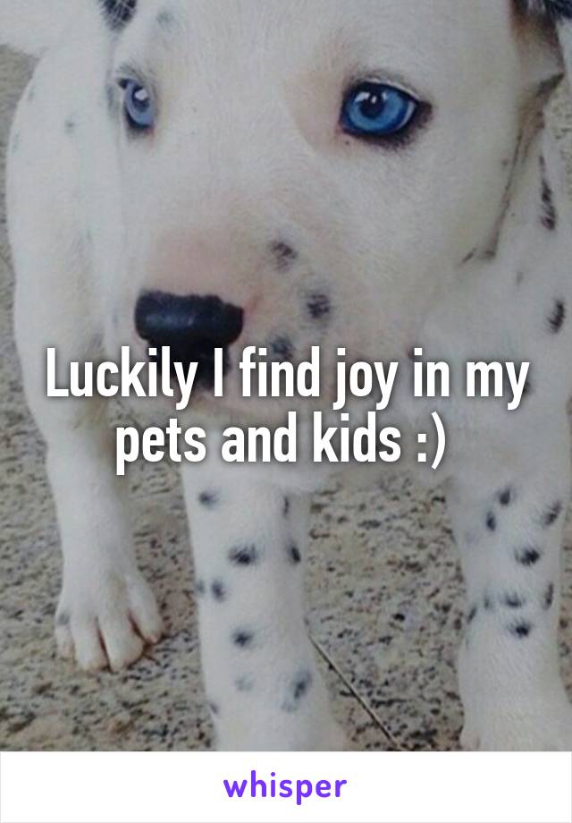 Luckily I find joy in my pets and kids :) 