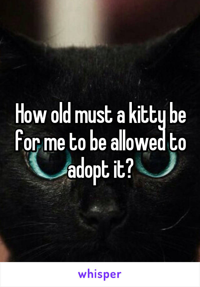 How old must a kitty be for me to be allowed to adopt it?