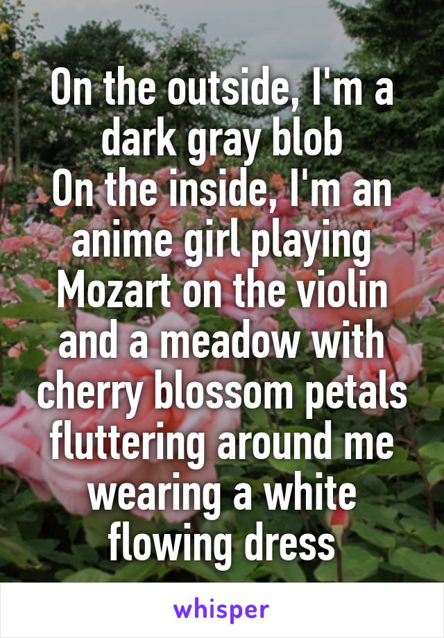 On the outside, I'm a dark gray blob
On the inside, I'm an anime girl playing Mozart on the violin and a meadow with cherry blossom petals fluttering around me wearing a white flowing dress