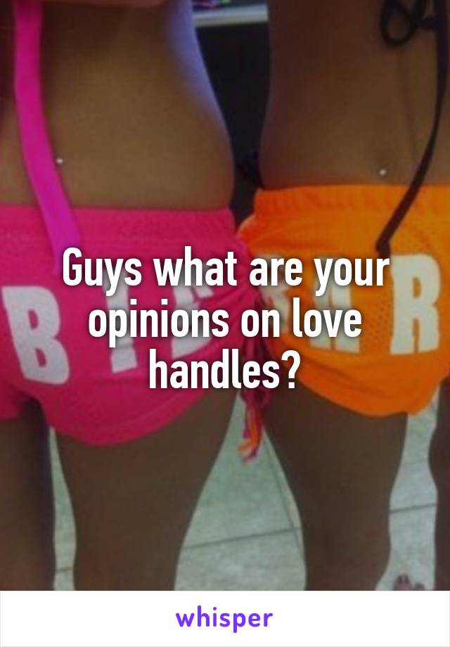 Guys what are your opinions on love handles?