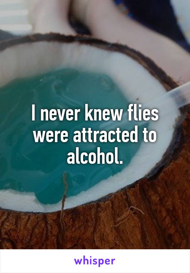 I never knew flies were attracted to alcohol.