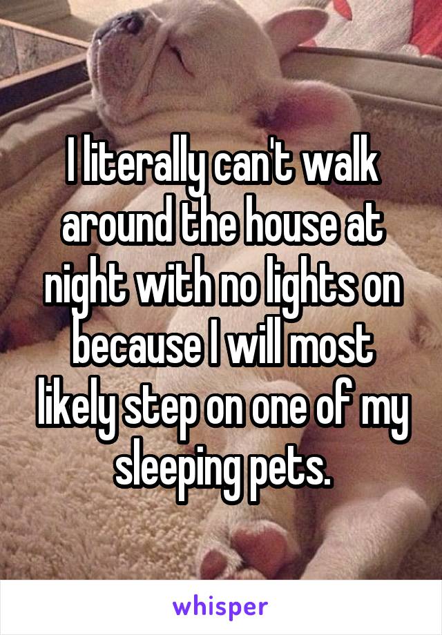 I literally can't walk around the house at night with no lights on because I will most likely step on one of my sleeping pets.
