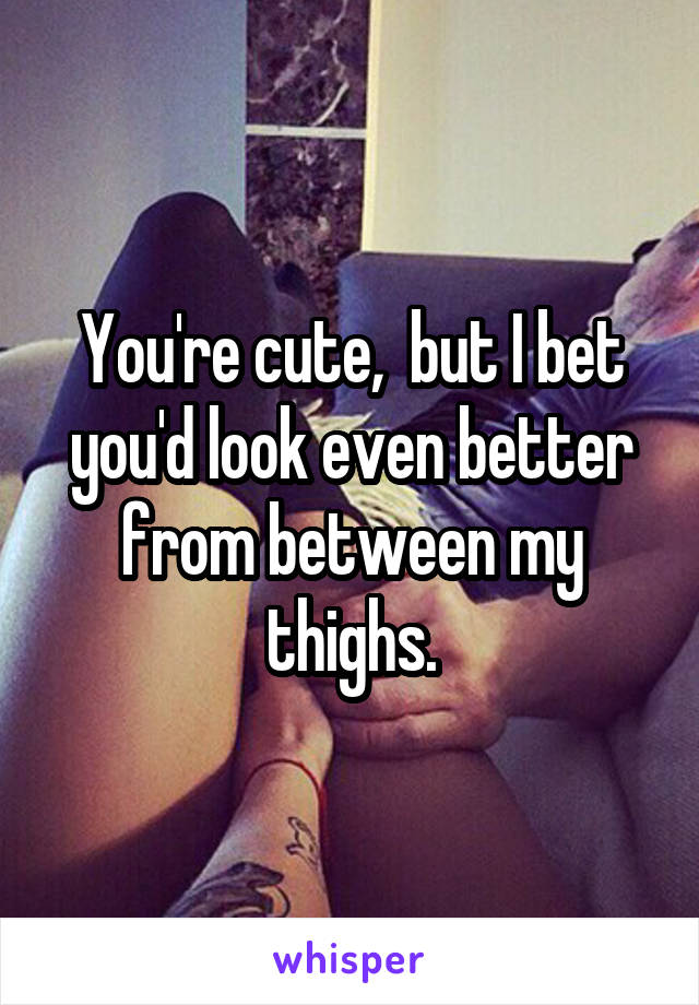 You're cute,  but I bet you'd look even better from between my thighs.