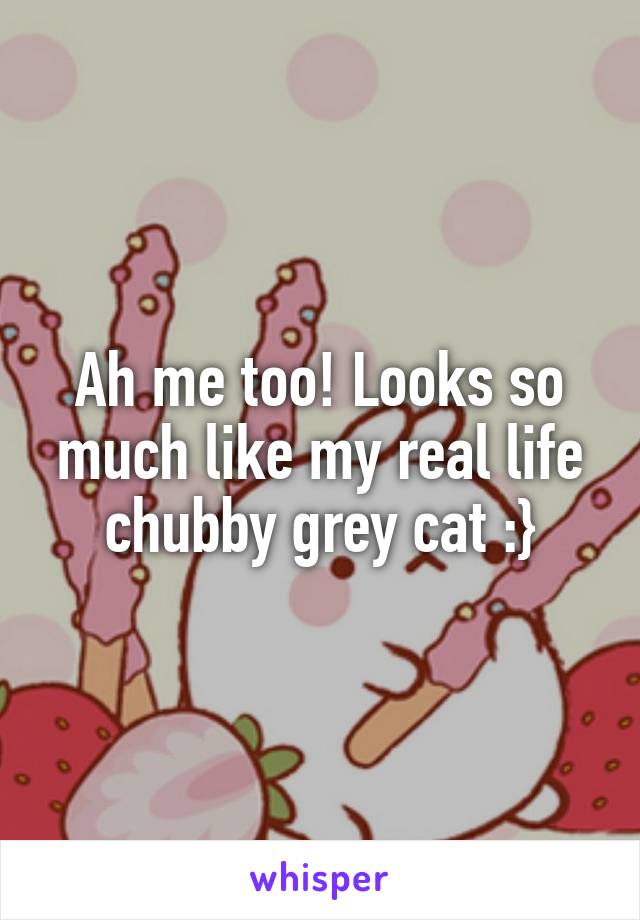 Ah me too! Looks so much like my real life chubby grey cat :}