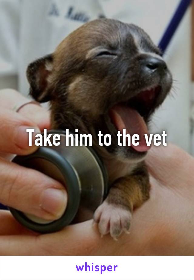 Take him to the vet