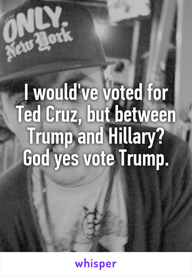 I would've voted for Ted Cruz, but between Trump and Hillary? God yes vote Trump.
