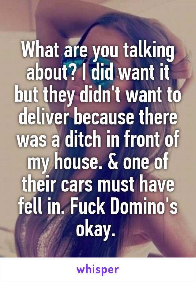 What are you talking about? I did want it but they didn't want to deliver because there was a ditch in front of my house. & one of their cars must have fell in. Fuck Domino's okay. 