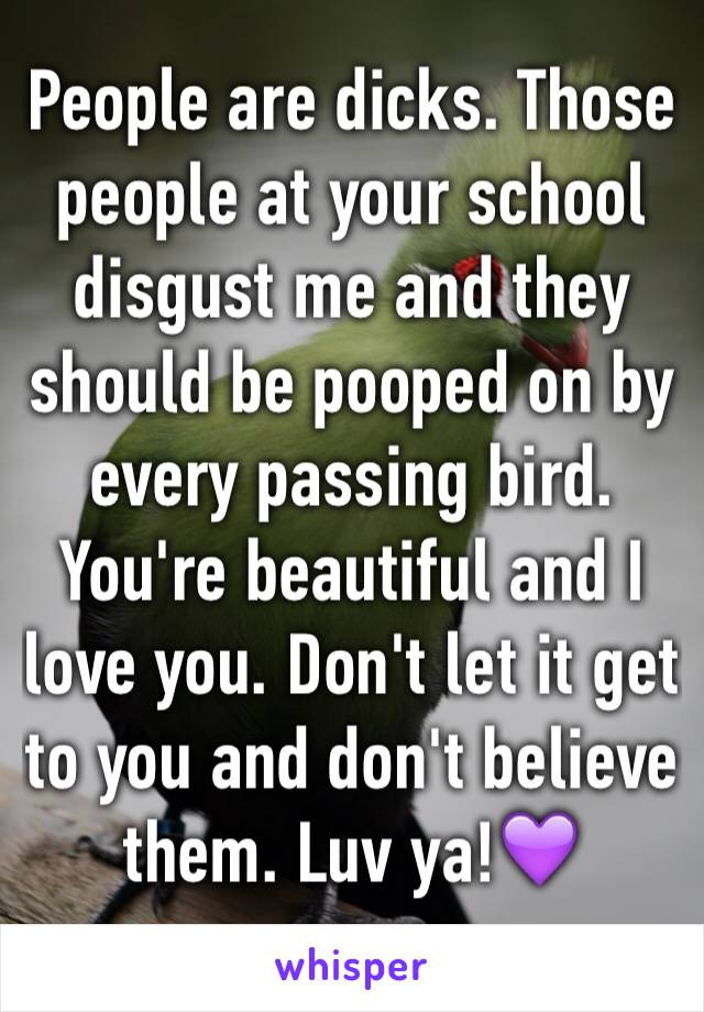 People are dicks. Those people at your school disgust me and they should be pooped on by every passing bird. You're beautiful and I love you. Don't let it get to you and don't believe them. Luv ya!💜