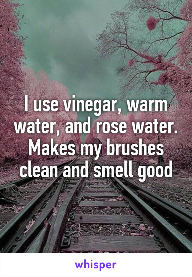 I use vinegar, warm water, and rose water. Makes my brushes clean and smell good