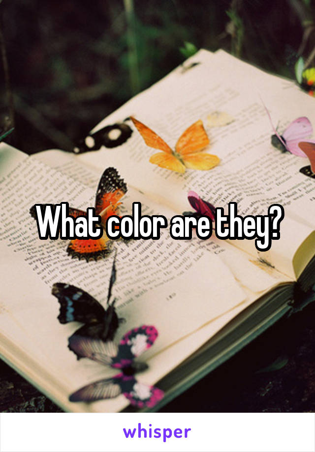 What color are they?