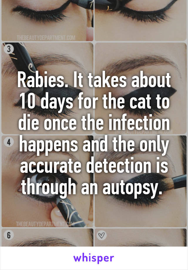 Rabies. It takes about 10 days for the cat to die once the infection happens and the only accurate detection is through an autopsy. 
