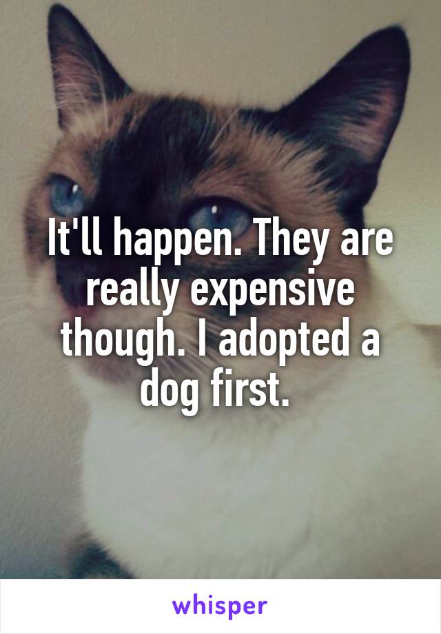 It'll happen. They are really expensive though. I adopted a dog first. 
