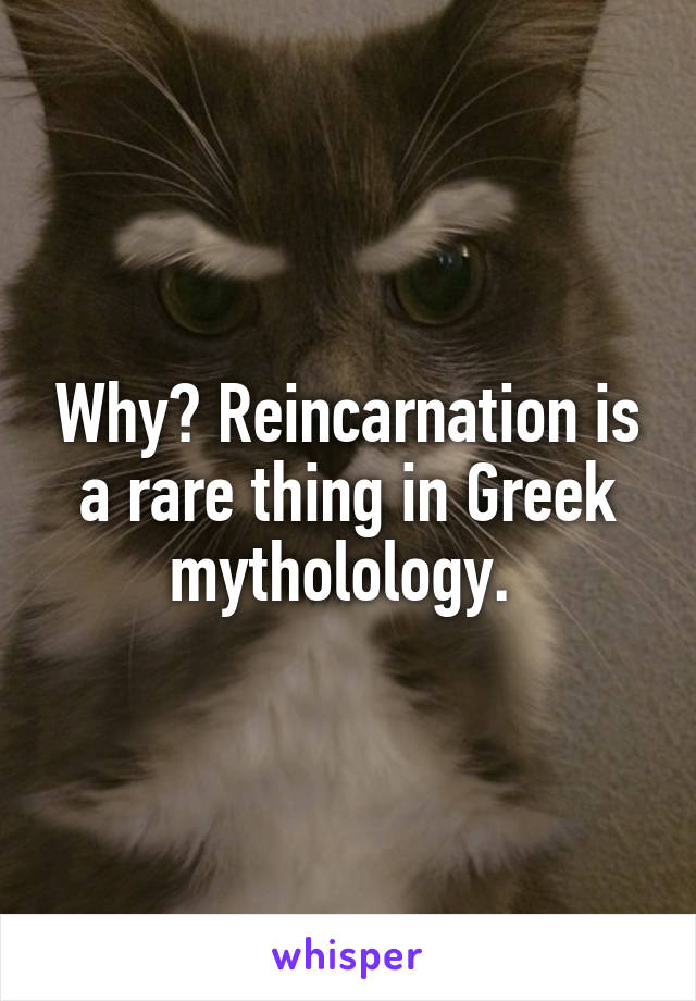 Why? Reincarnation is a rare thing in Greek mytholology. 
