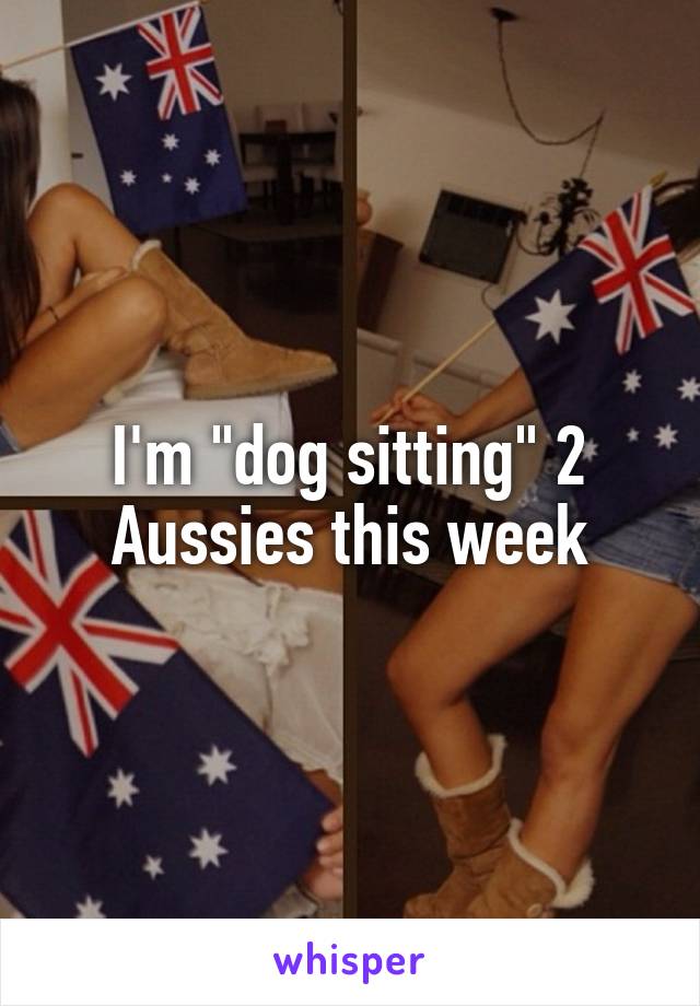 I'm "dog sitting" 2 Aussies this week