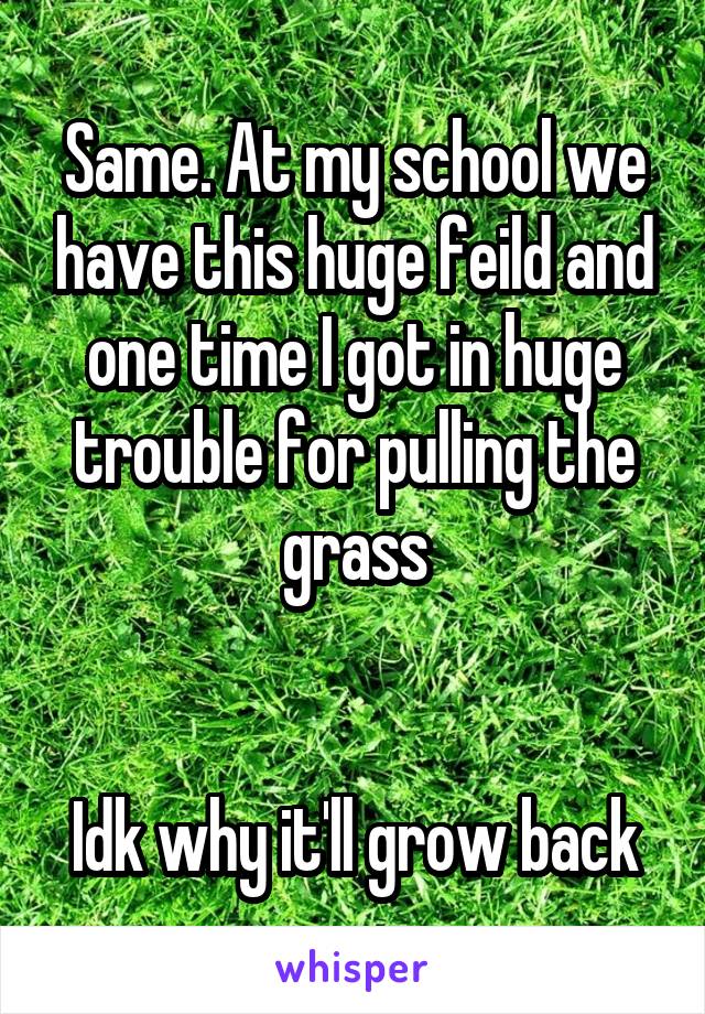 Same. At my school we have this huge feild and one time I got in huge trouble for pulling the grass


Idk why it'll grow back