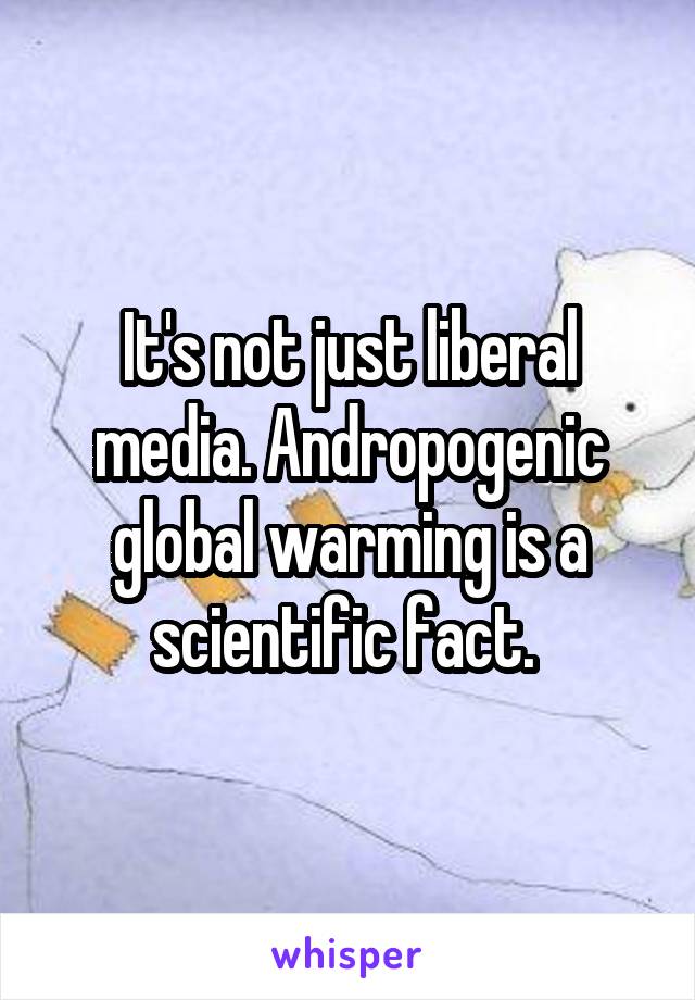 It's not just liberal media. Andropogenic global warming is a scientific fact. 