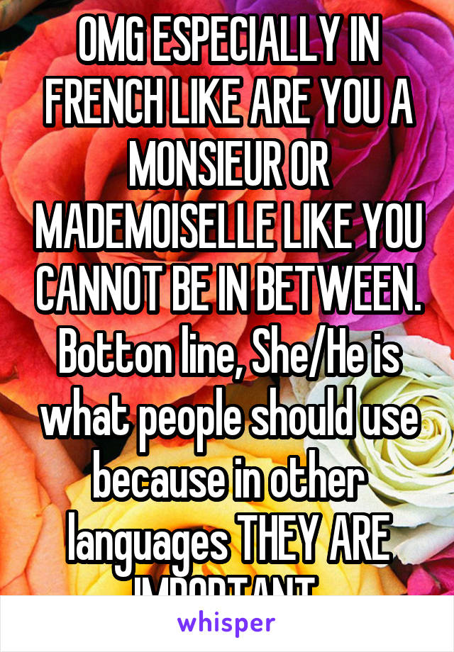 OMG ESPECIALLY IN FRENCH LIKE ARE YOU A MONSIEUR OR MADEMOISELLE LIKE YOU CANNOT BE IN BETWEEN. Botton line, She/He is what people should use because in other languages THEY ARE IMPORTANT.