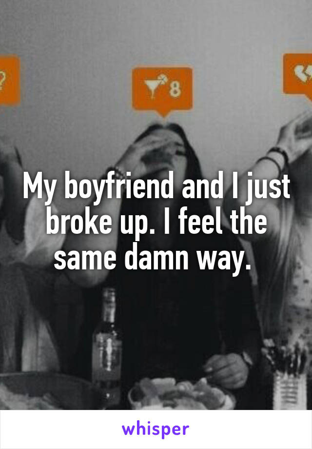 My boyfriend and I just broke up. I feel the same damn way. 