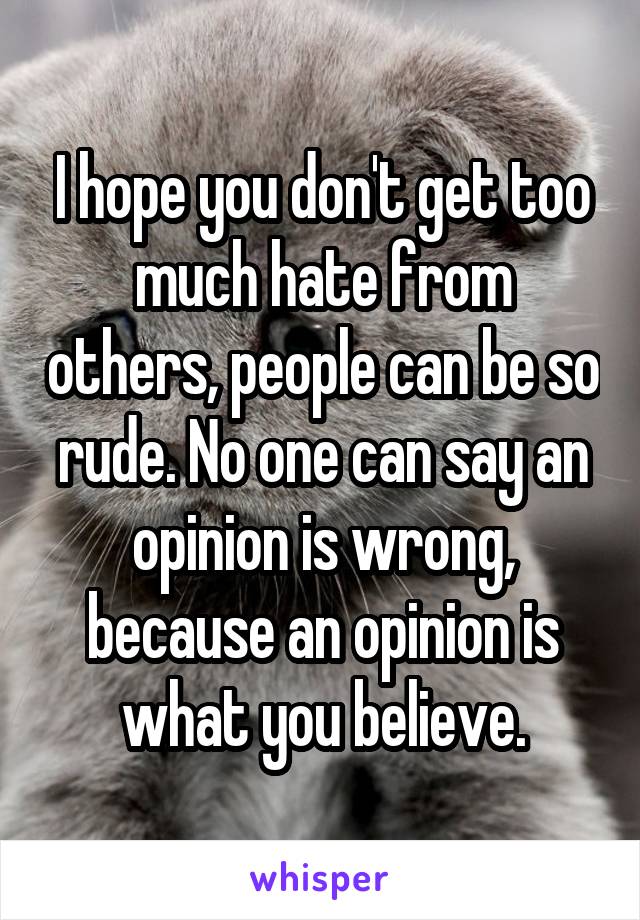 I hope you don't get too much hate from others, people can be so rude. No one can say an opinion is wrong, because an opinion is what you believe.