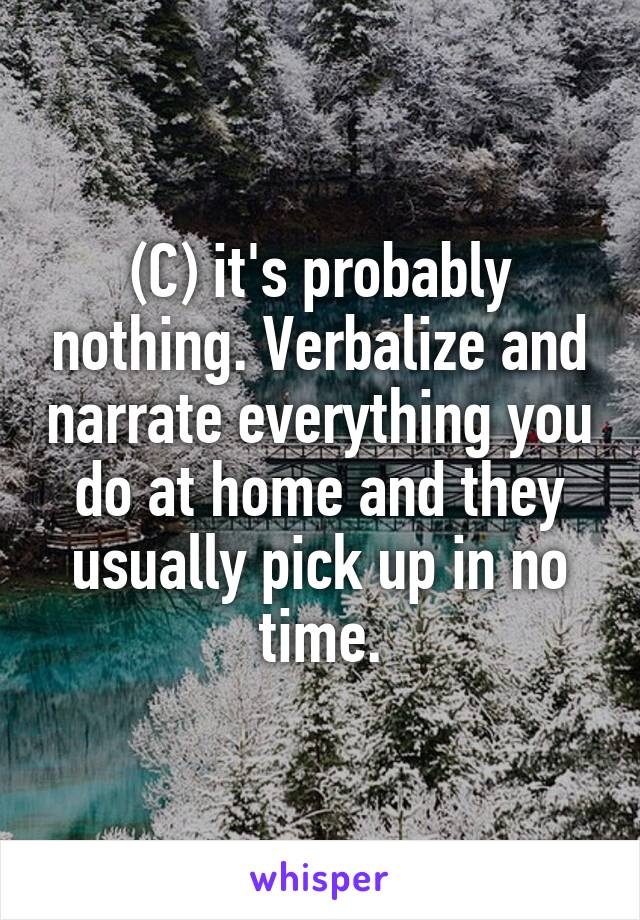 (C) it's probably nothing. Verbalize and narrate everything you do at home and they usually pick up in no time.