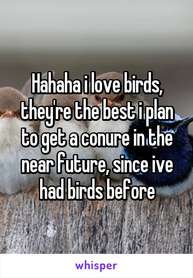 Hahaha i love birds, they're the best i plan to get a conure in the near future, since ive had birds before